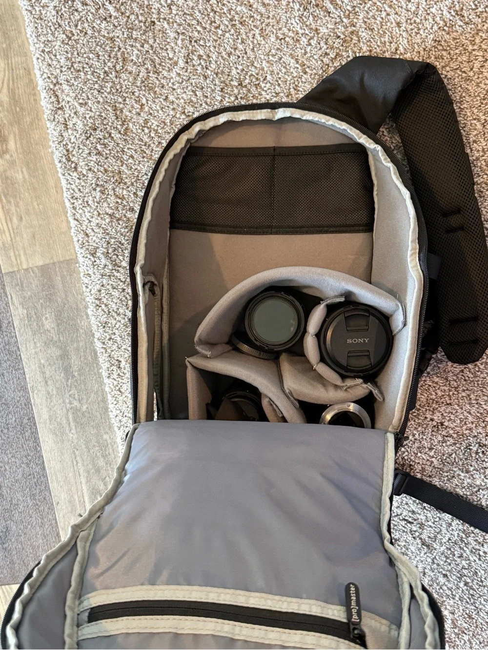 ProMaster it features